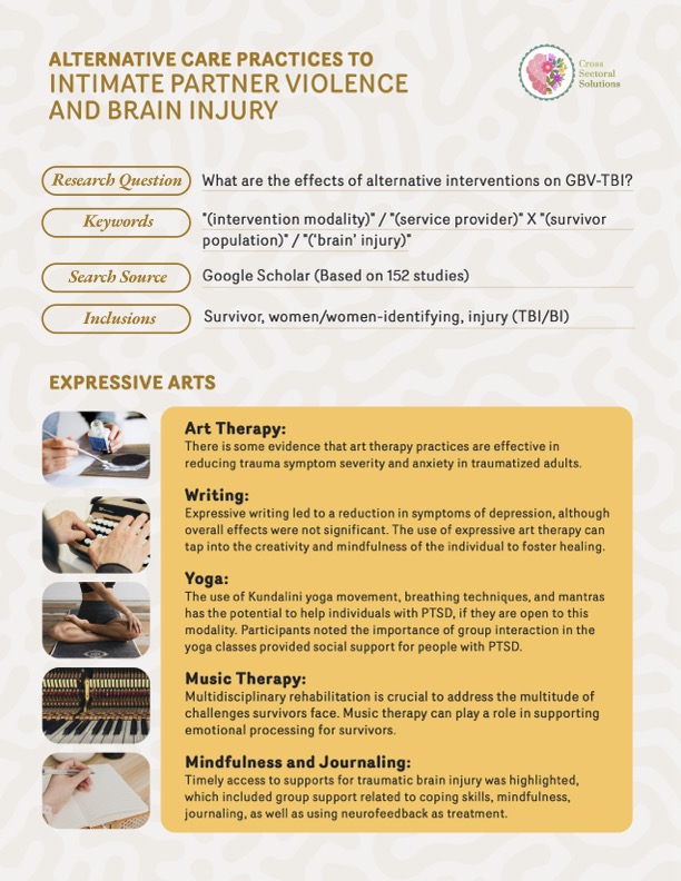 Alternative Care Practices to Intimate Partner Violence and Brain Injury (Eng)