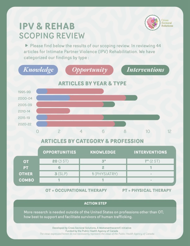 Scoping Review: Interventions for Intimate Partner Violence and Brain Injury